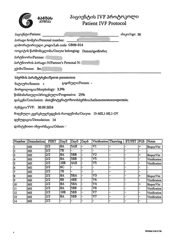 胚胎报告示例