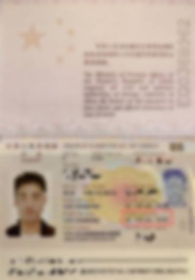 护照首页示例